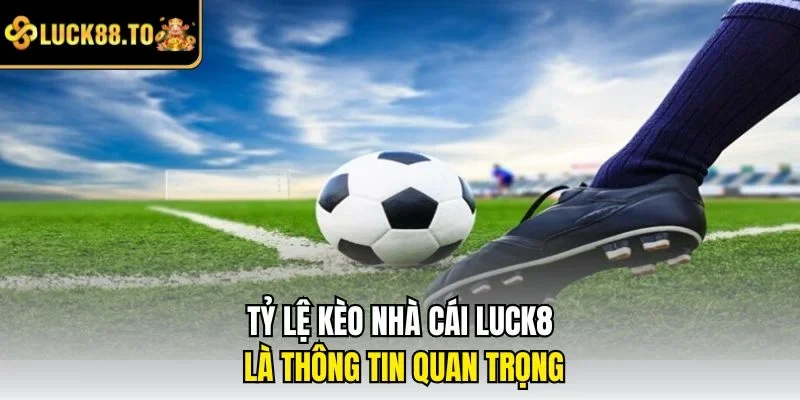 Tỷ lệ kèo nhà cái là thông tin quan trọng